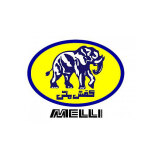 فروشگاه کفش ملی 